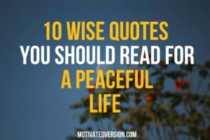 10 Wise Quotes You Should Read For a Peaceful Life