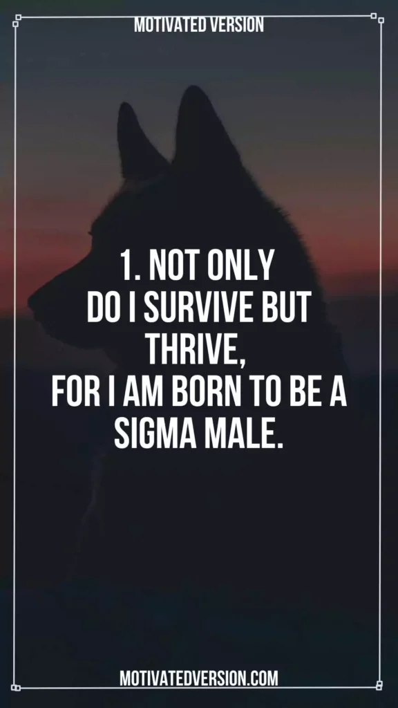 Sigma Quotes That Are Just for Sigma Men 1