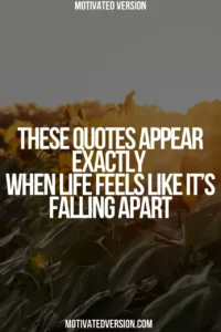 These Quotes Appear Exactly When Life Feels Like It’s Falling Apart