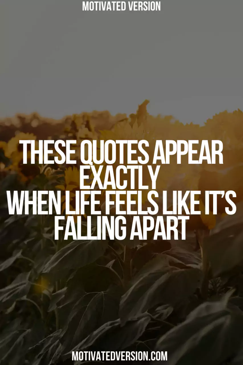 These Quotes Appear Exactly When Life Feels Like It’s Falling