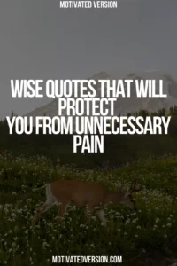 Wise Quotes That Will Protect You From Unnecessary Pain